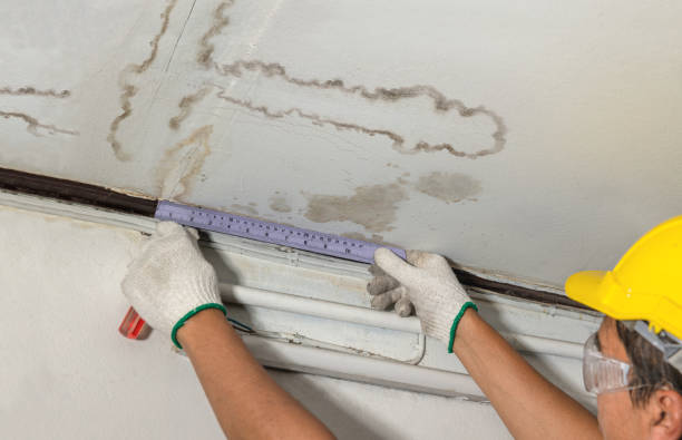Reliable Mold Remediation contractor in Nevada, TX by Water Damage Irwin